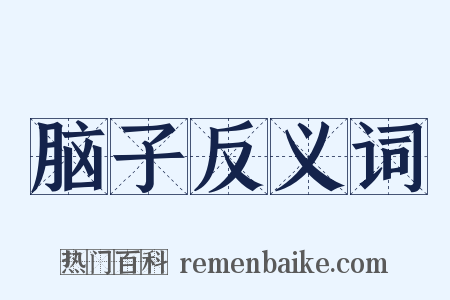 脑子反义词是什么意思的图片